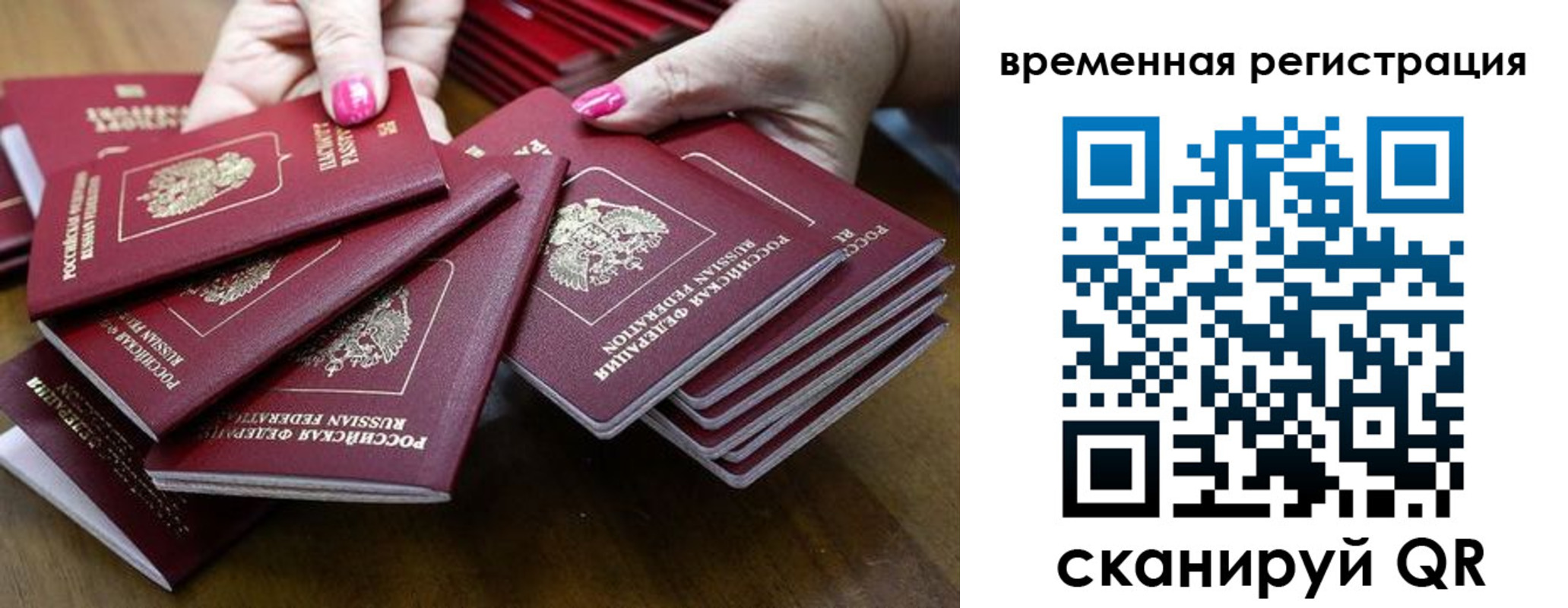 временная регистрация поиск в Новоалександровске